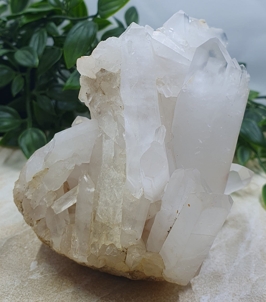 Clear Quartz Cluster #6