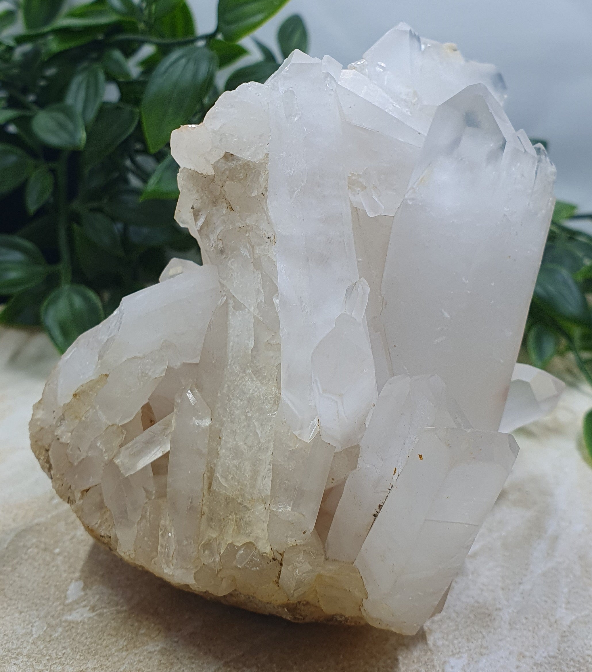 Clear Quartz Cluster #6