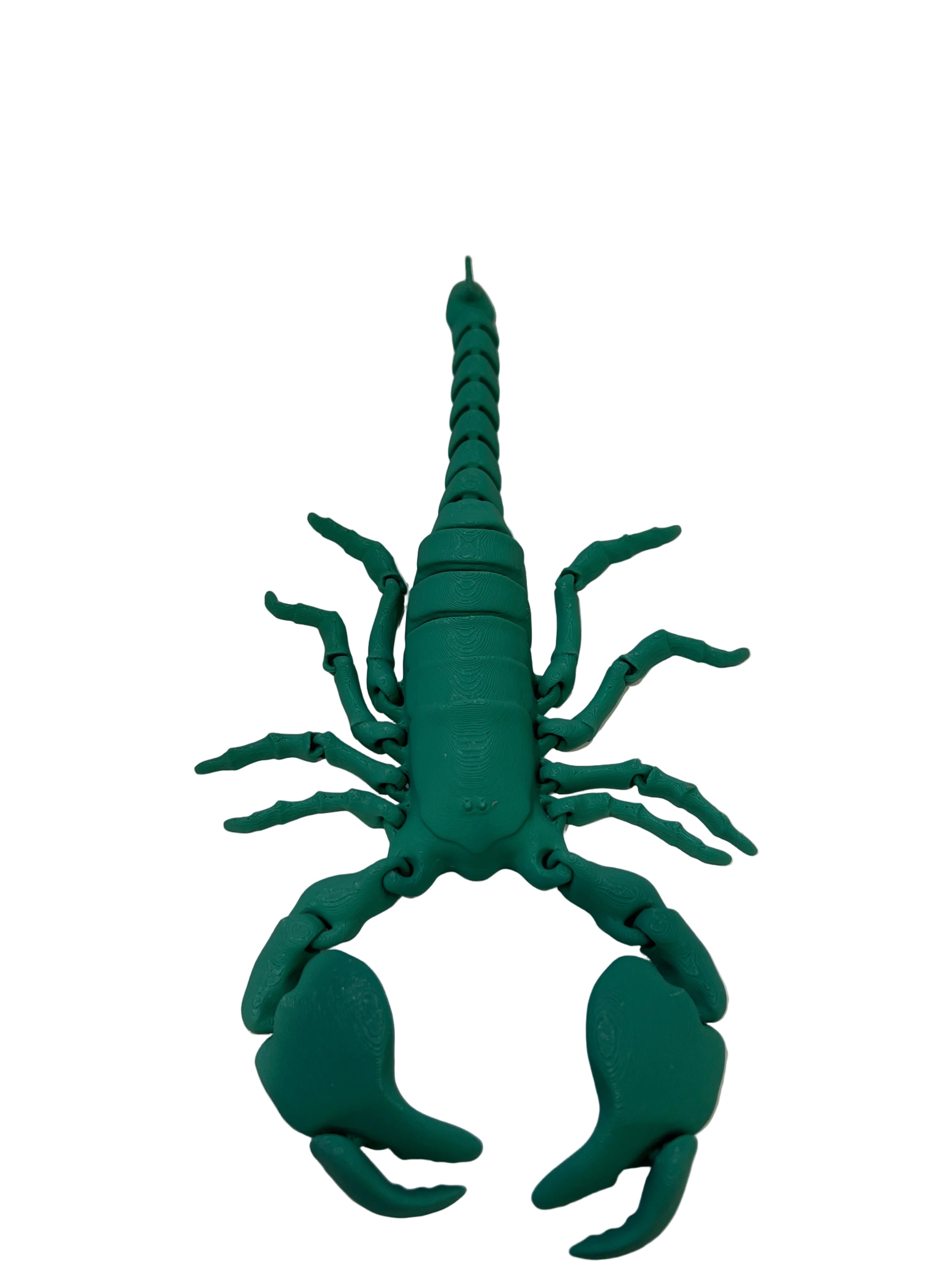 Scorpions - Large