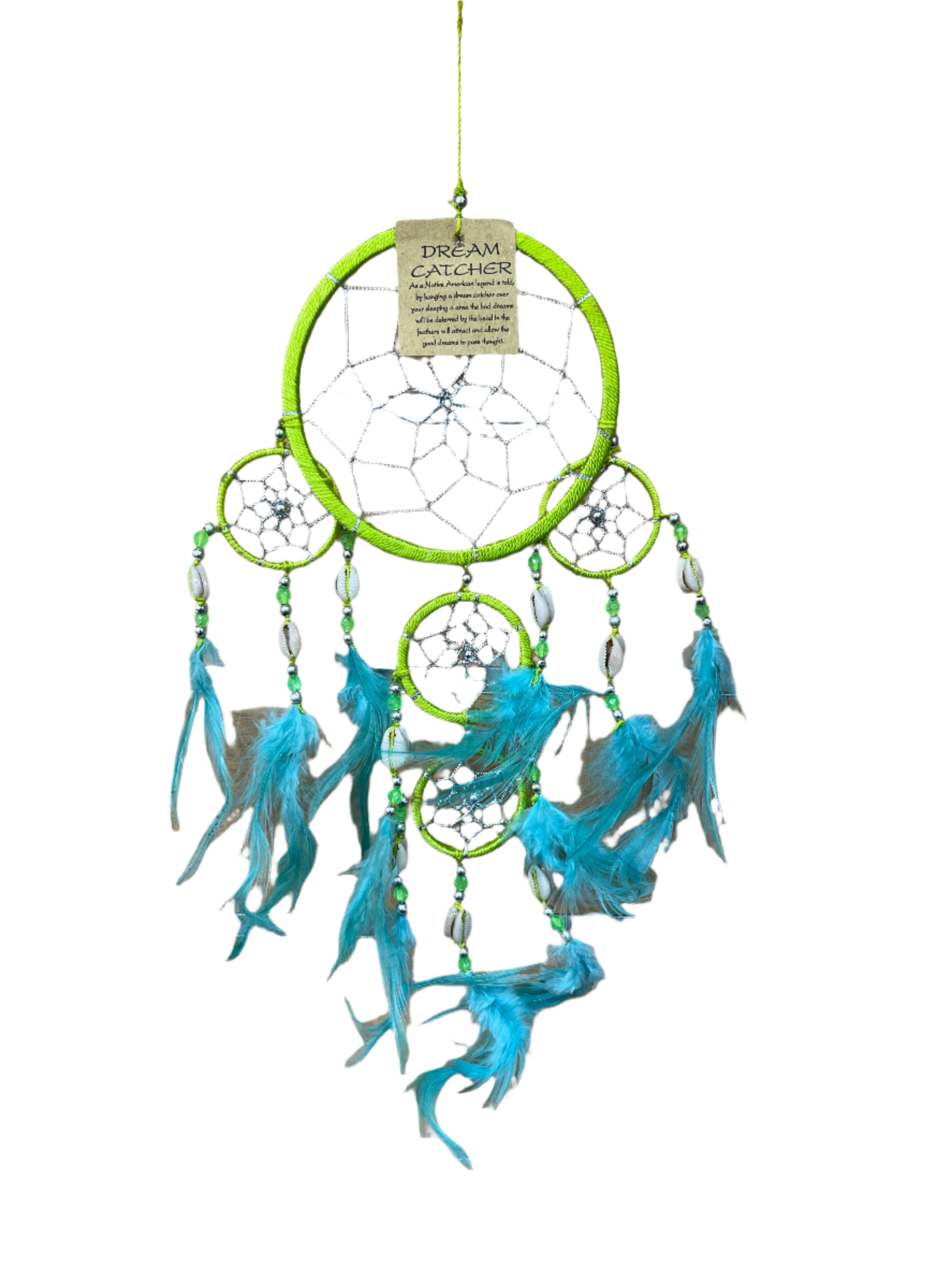 Dream Catchers - Shell