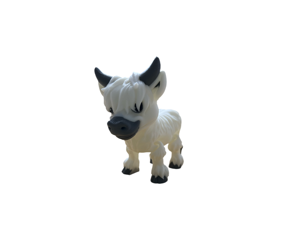 Highland Cows