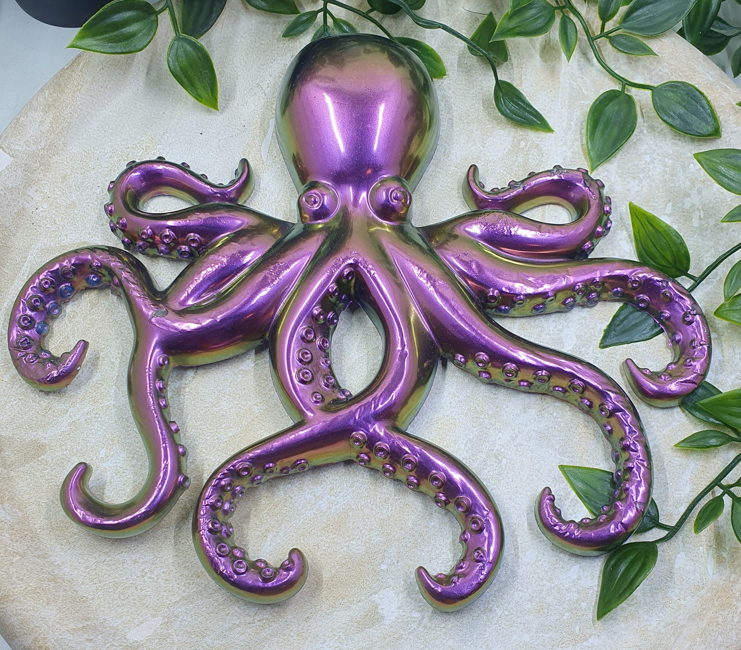 Octopus