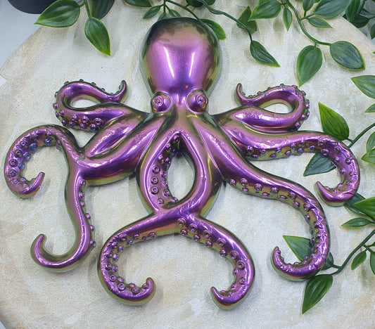 Octopus