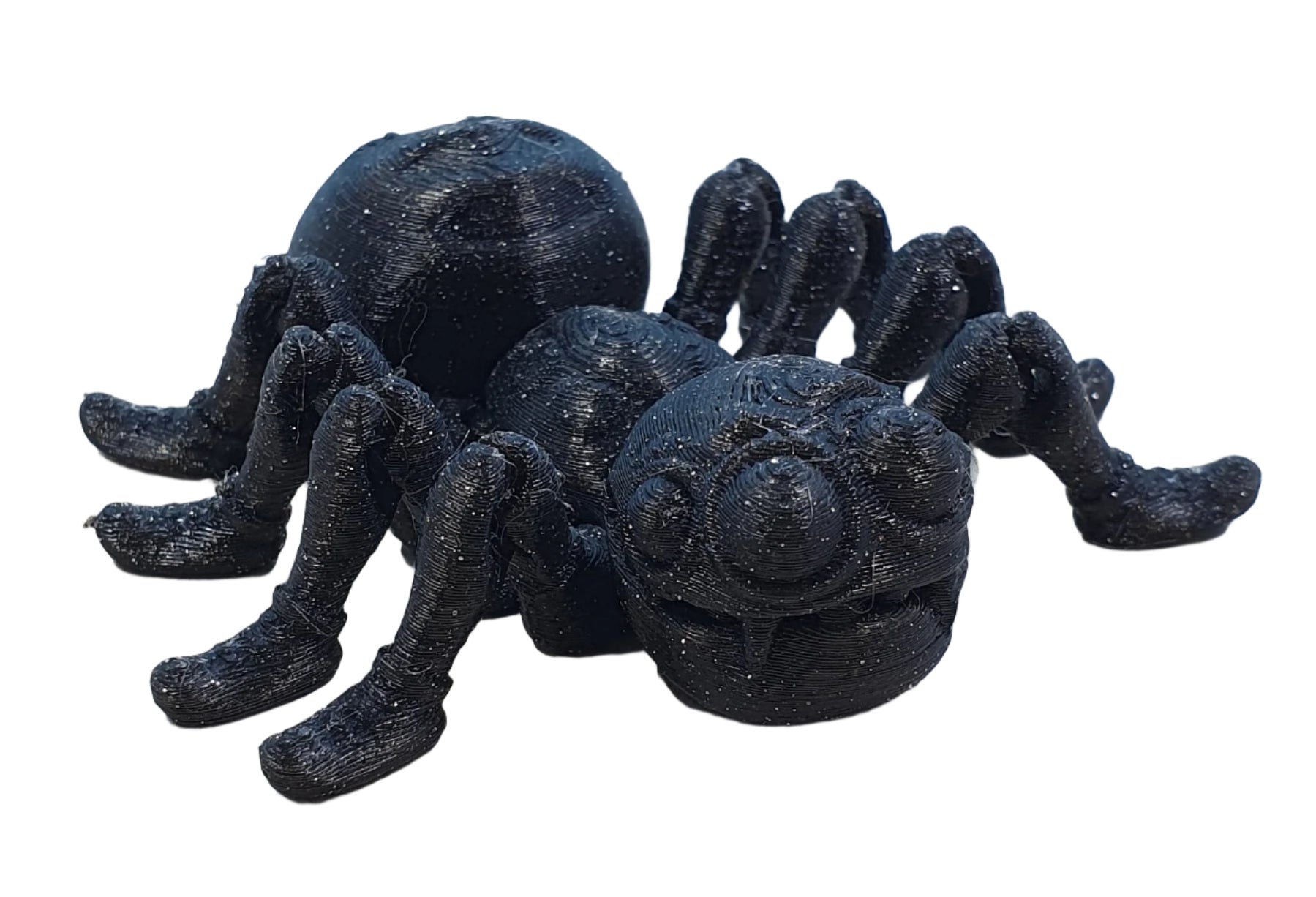 Spiders