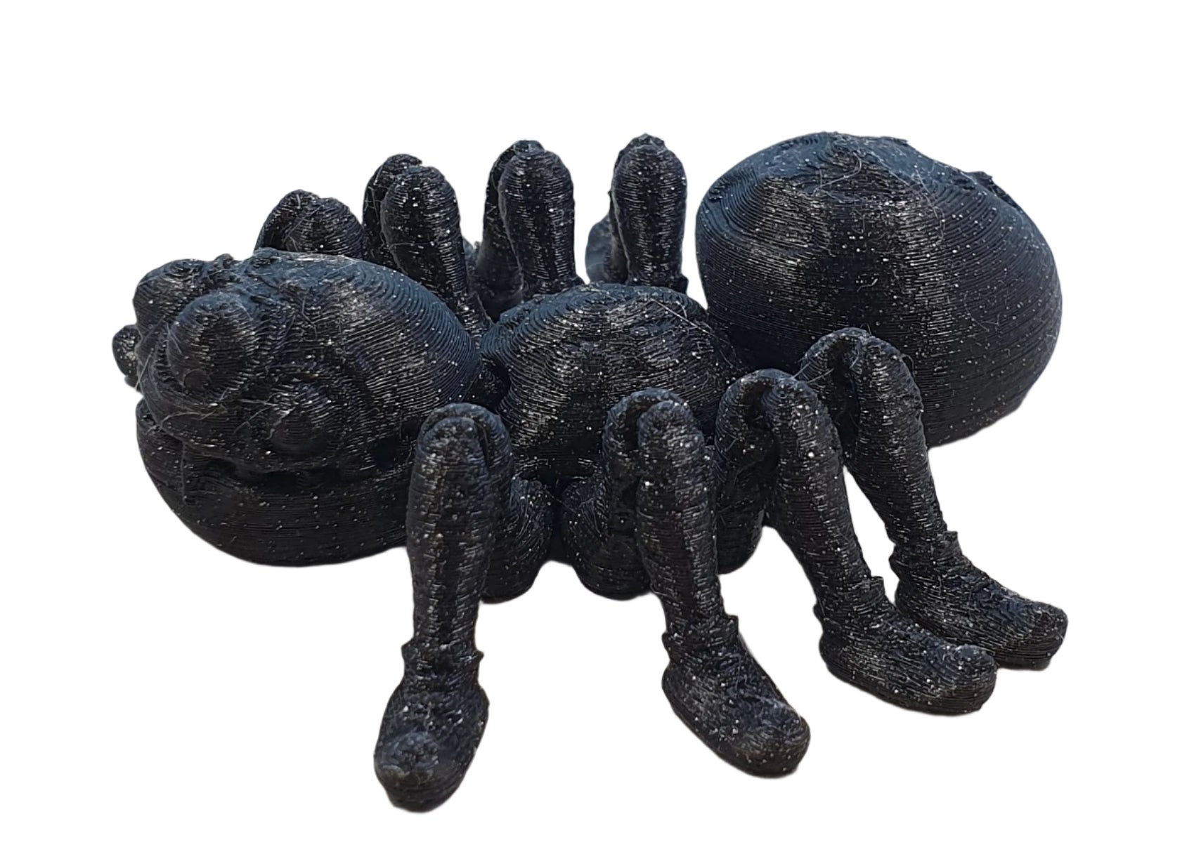 Spiders