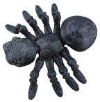 Spiders