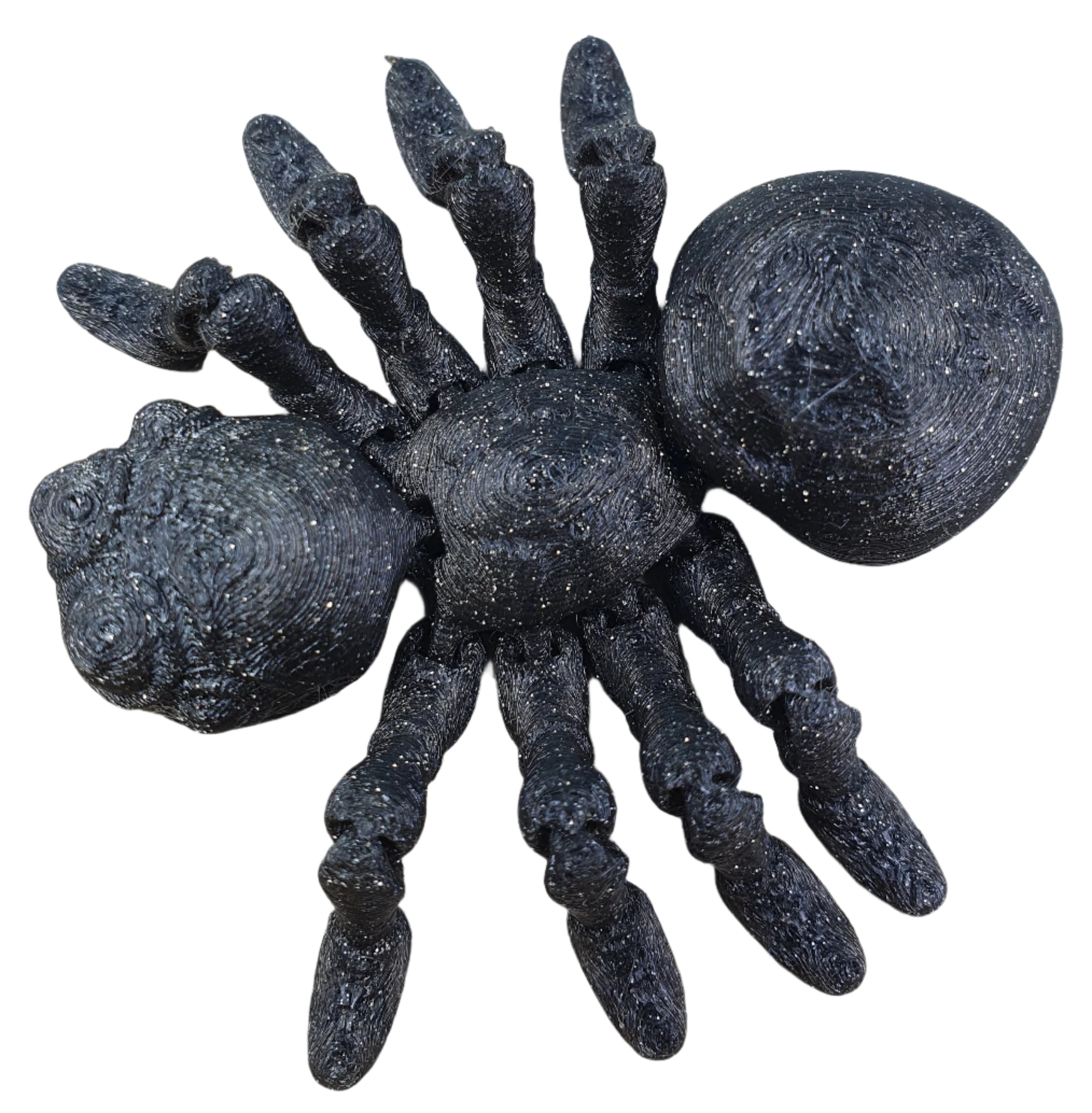 Spiders