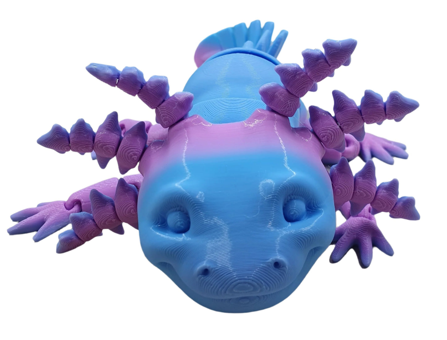 Axolotl (medium) #1