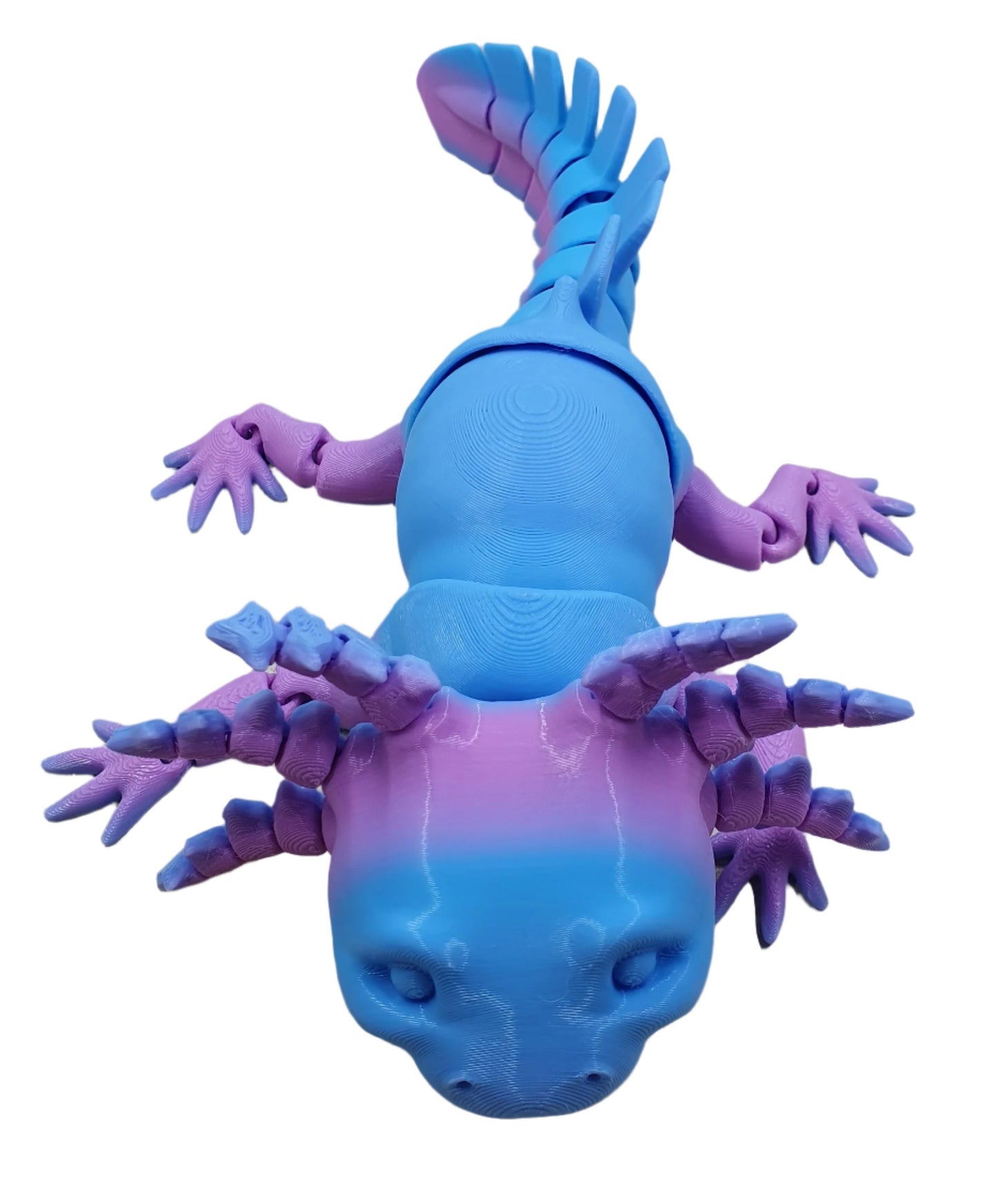 Axolotl (medium) #1