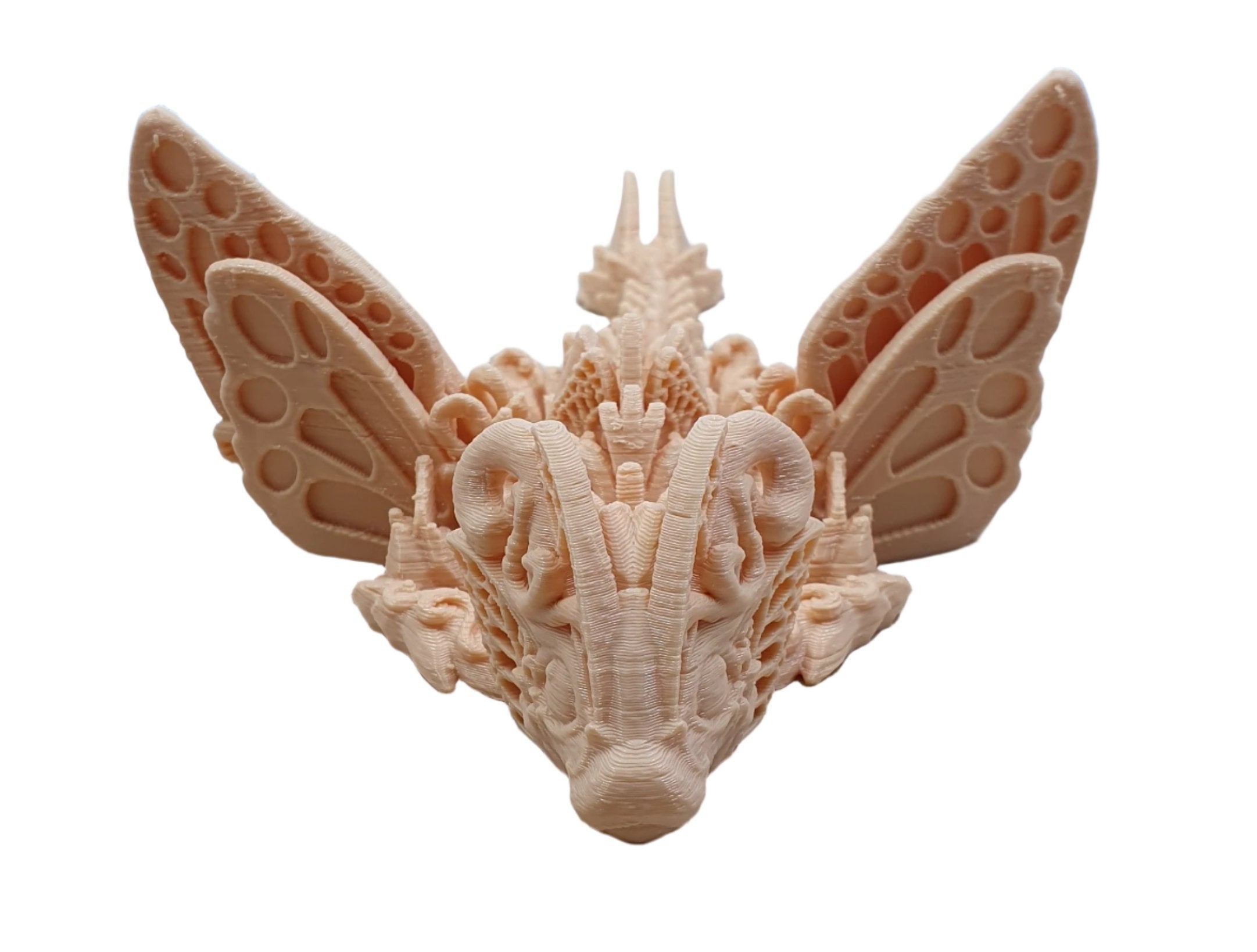 Baby Butterfly Dragons