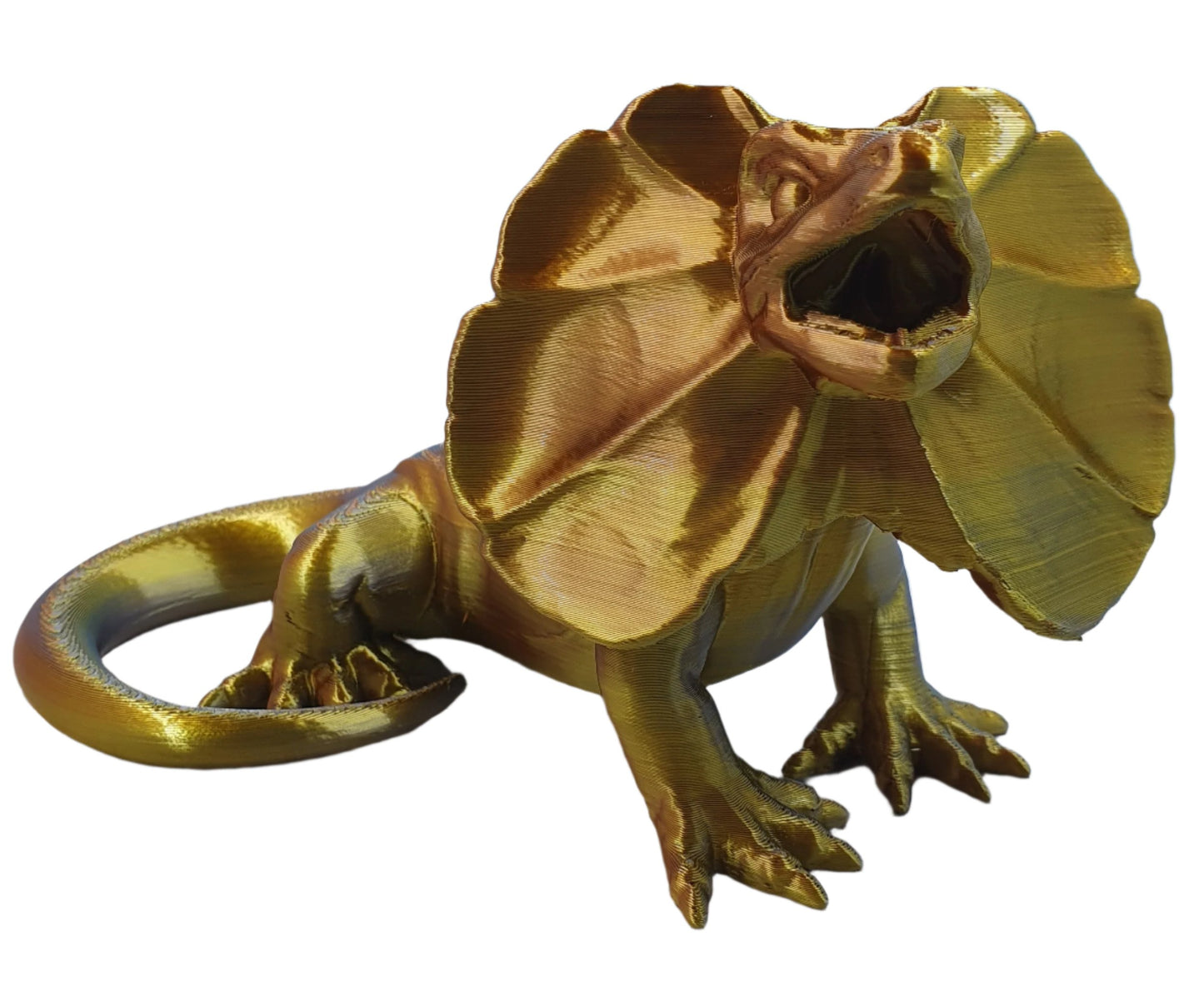 Frilled Neck Lizard #1