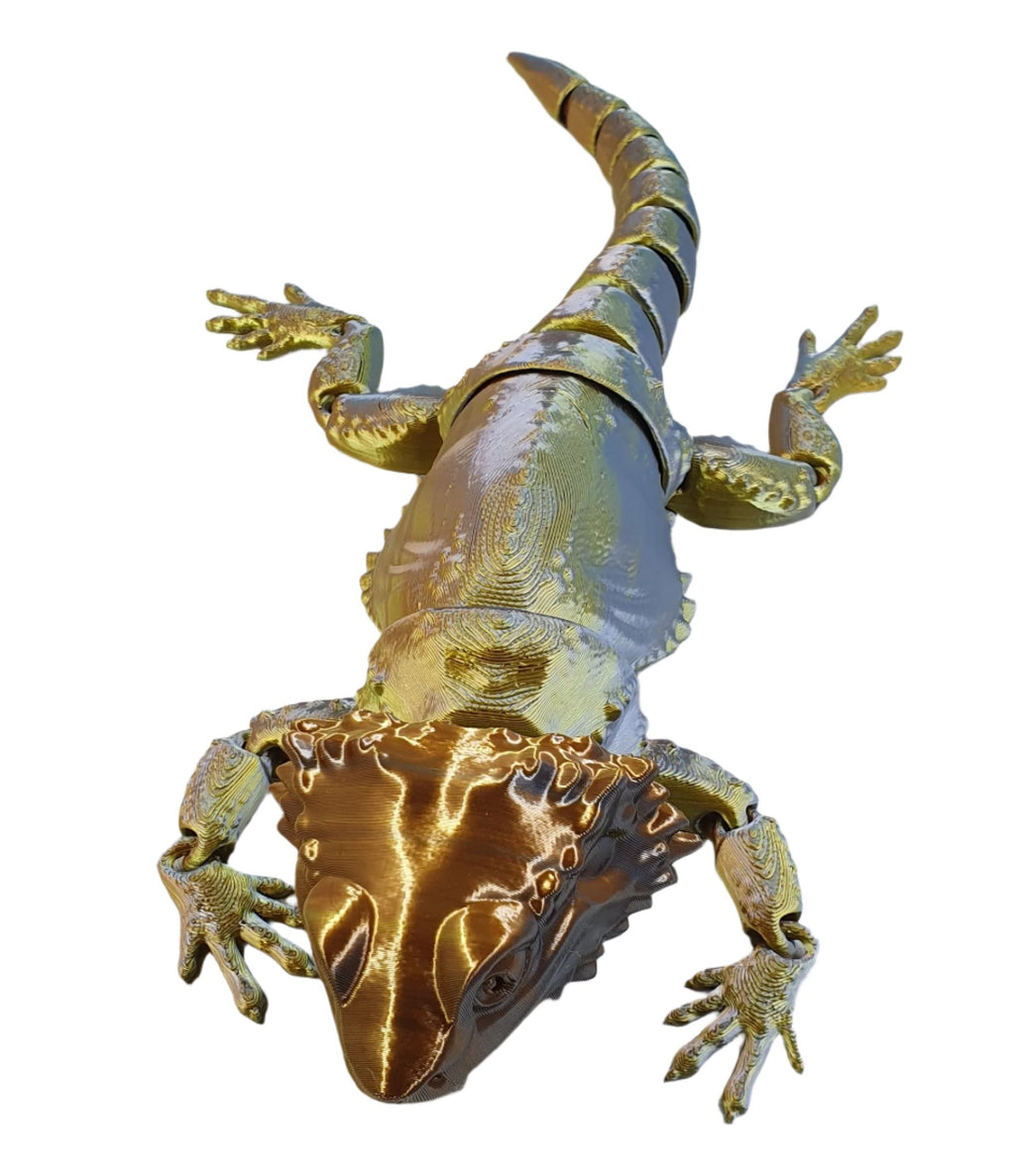 Bearded Dragons