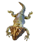 Bearded Dragons