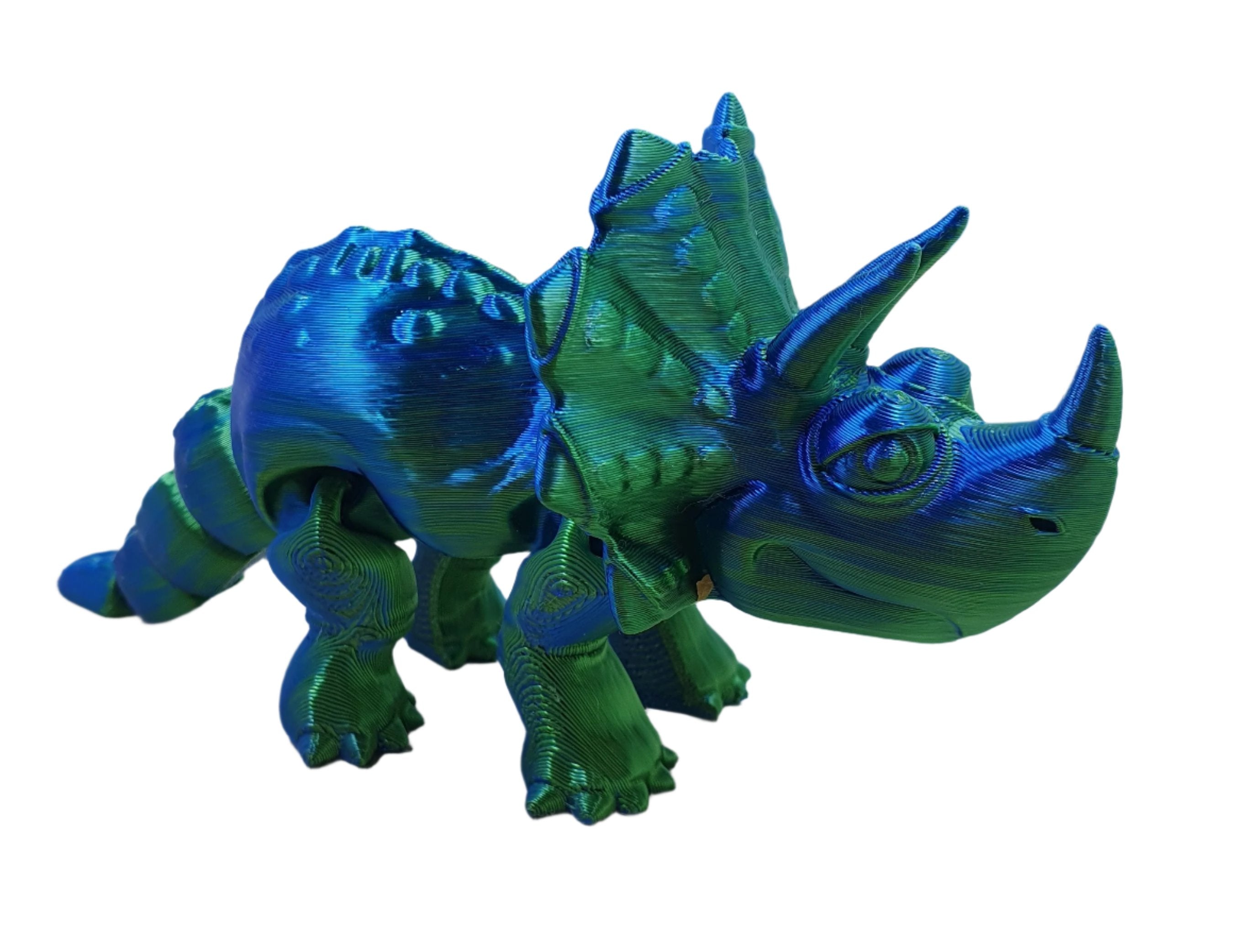 Baby Triceratops