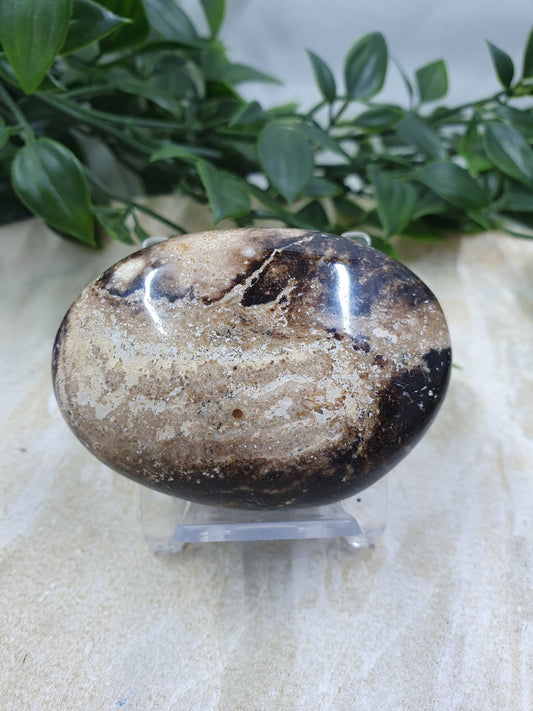 Chocolate Calcite Palm Stone #3