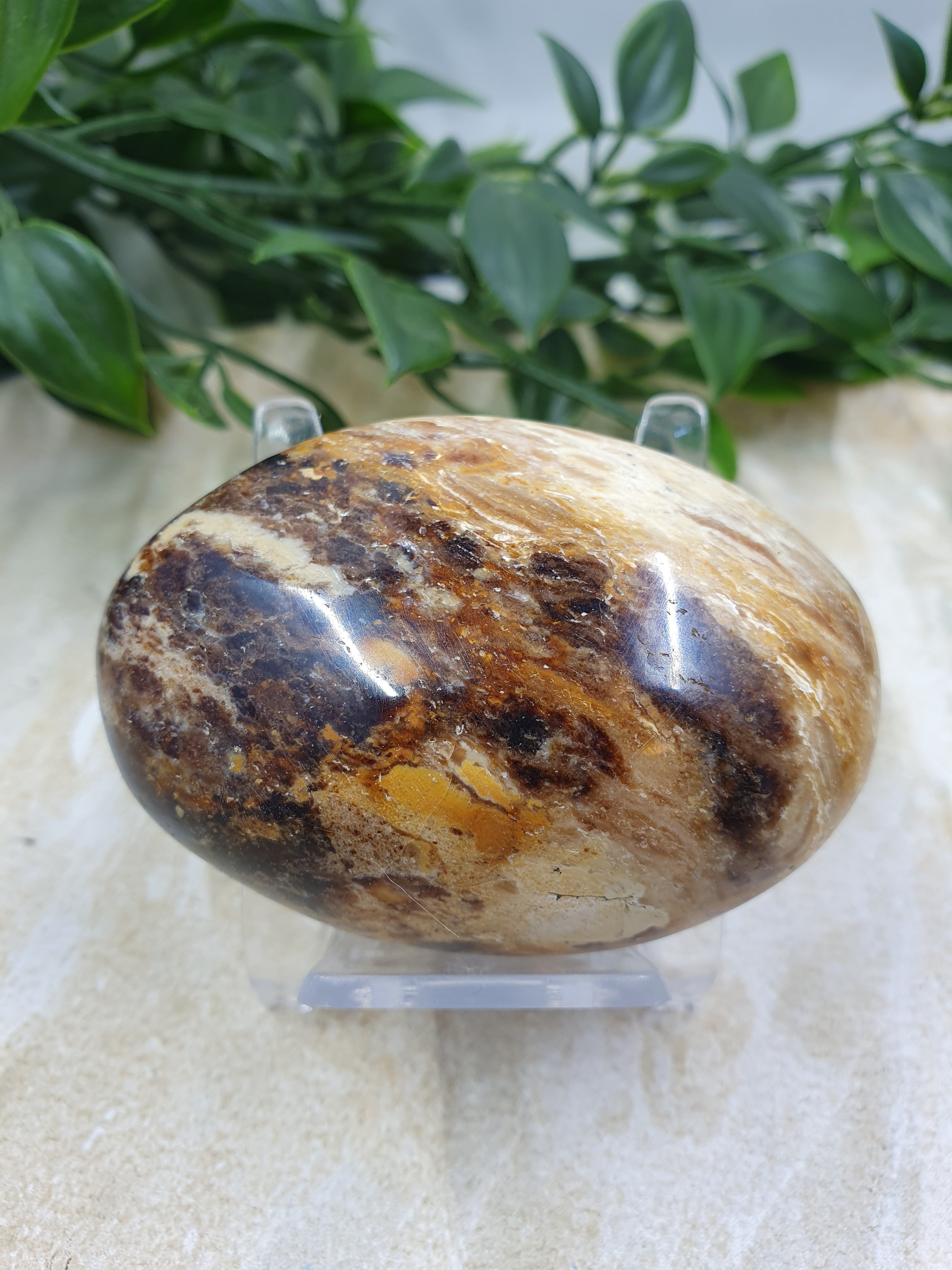 Chocolate Calcite Palm Stone #6