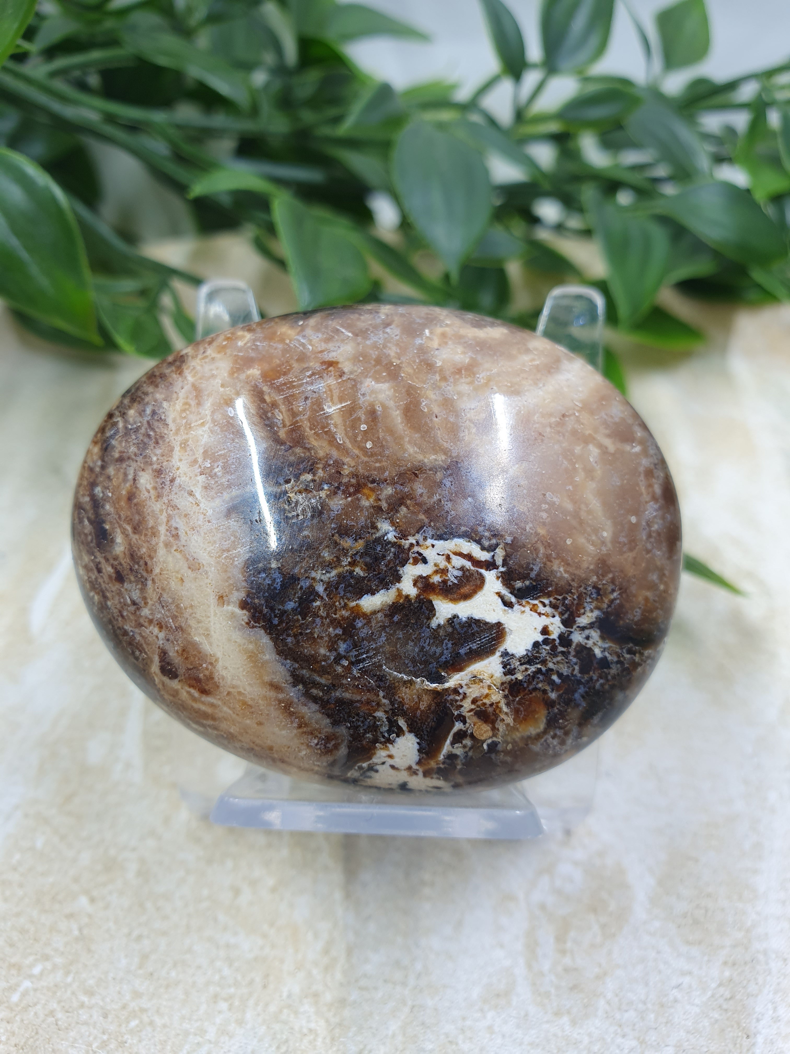 Chocolate Calcite Palm Stone #7