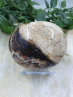 Chocolate Calcite Palm Stone