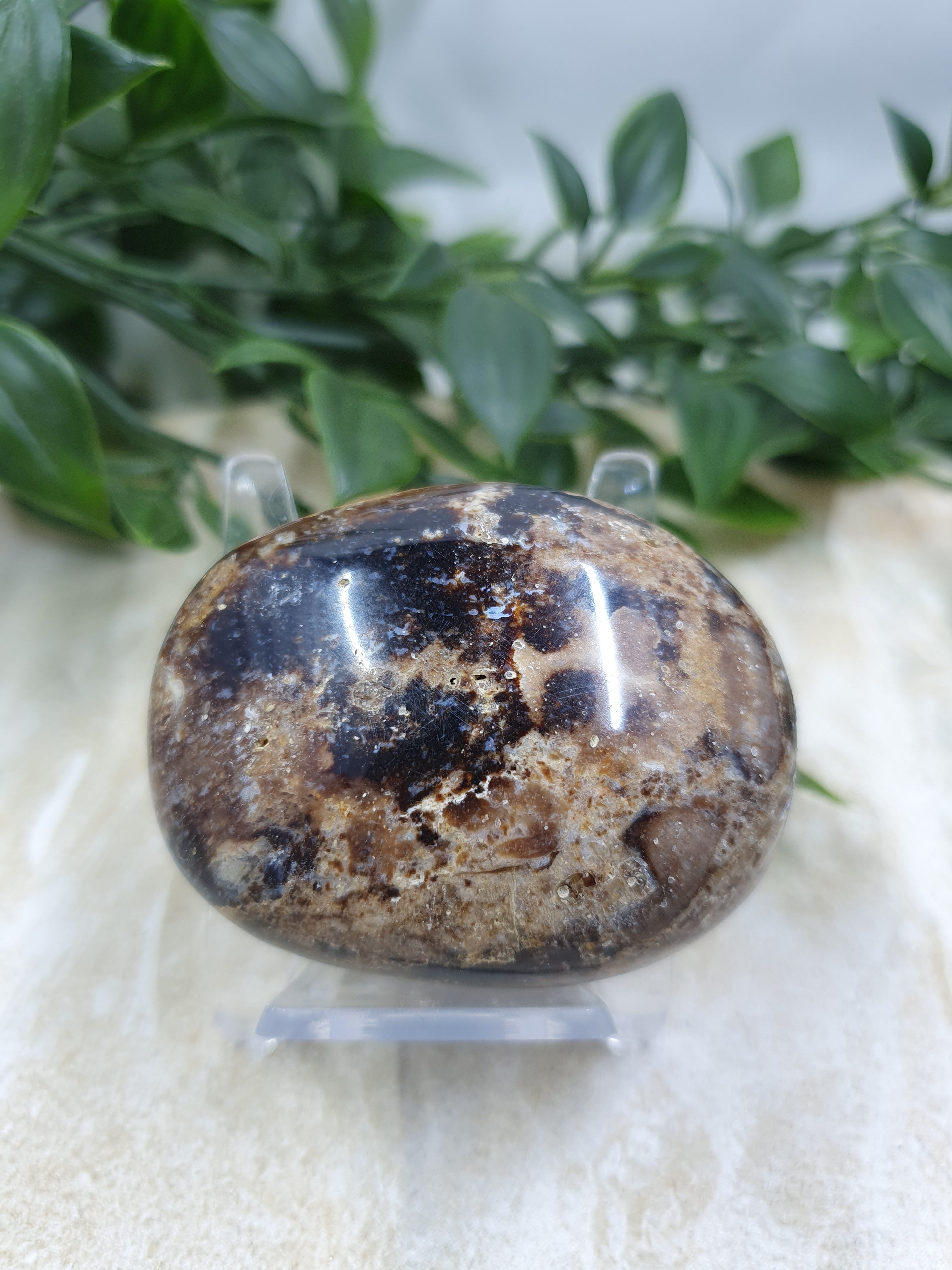 Chocolate Calcite Palm Stone #9