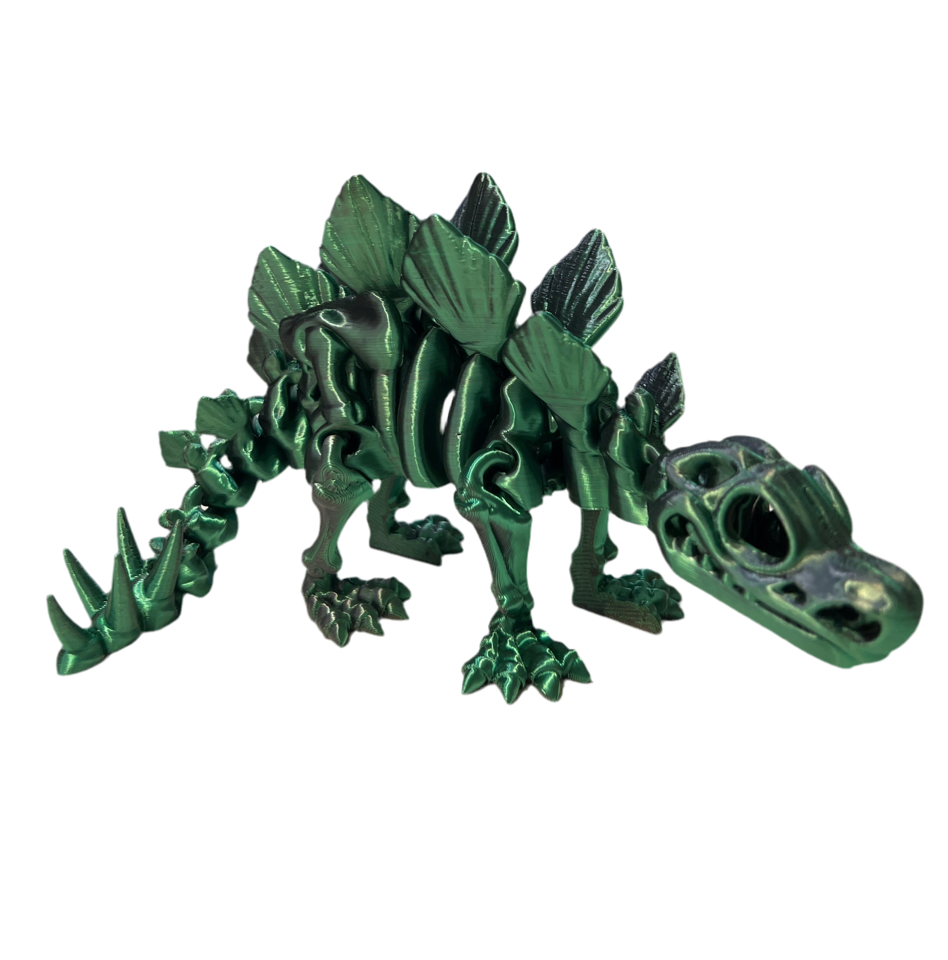 Stegosaurus