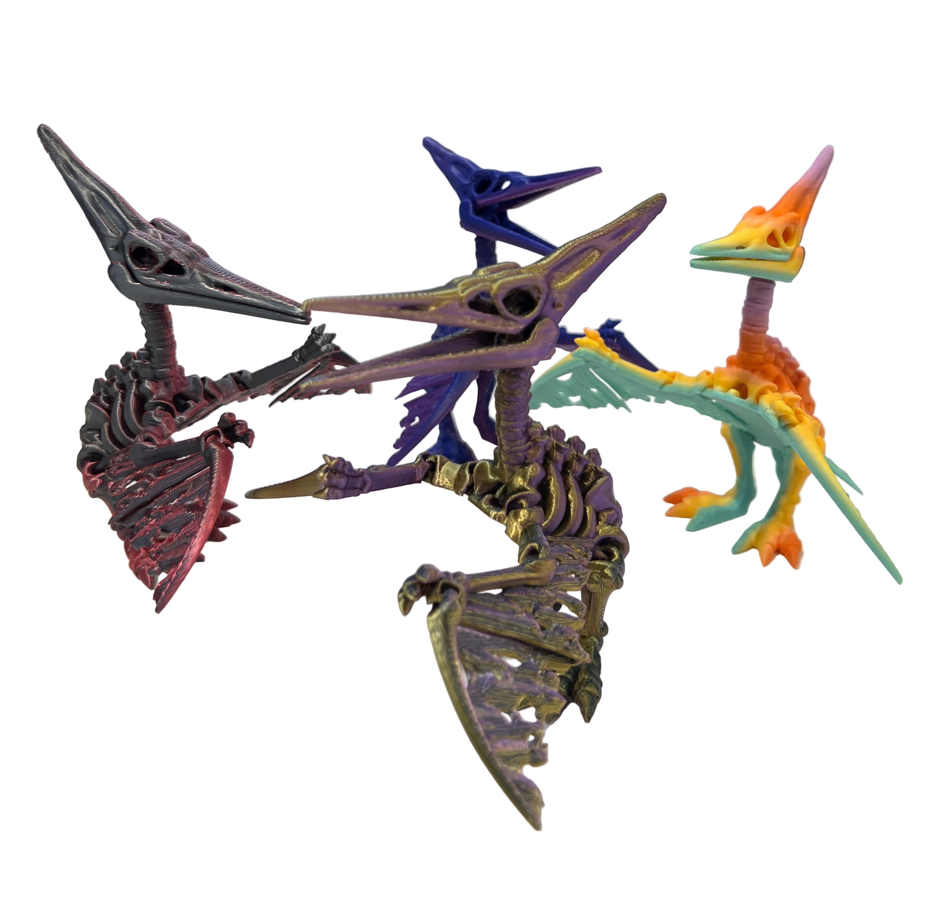 Skeleton Pterodactyl