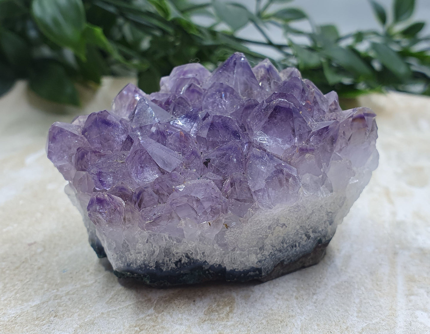 Amethyst Cluster #5