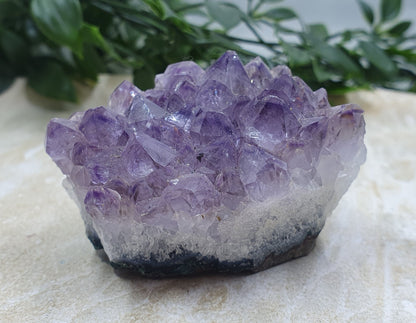 Amethyst Cluster #5