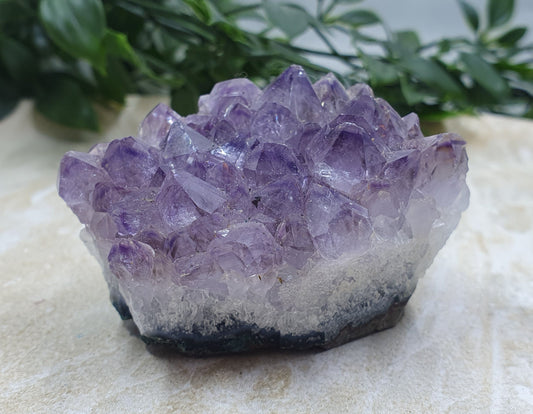 Amethyst Cluster #5