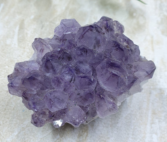 Amethyst Cluster #5