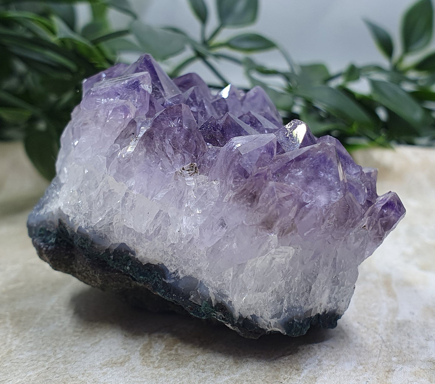 Amethyst Cluster #5