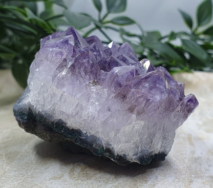 Amethyst Cluster #5