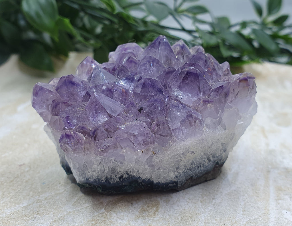 Amethyst Clusters