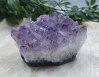 Amethyst Clusters