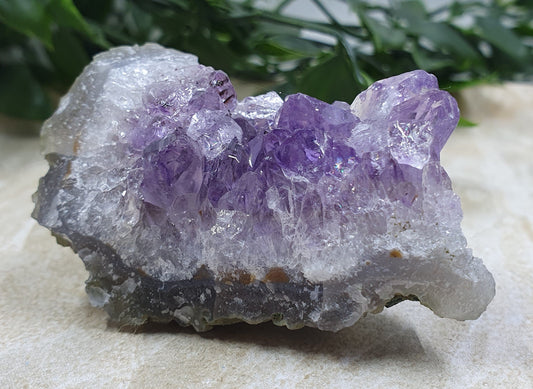 Amethyst Cluster #6
