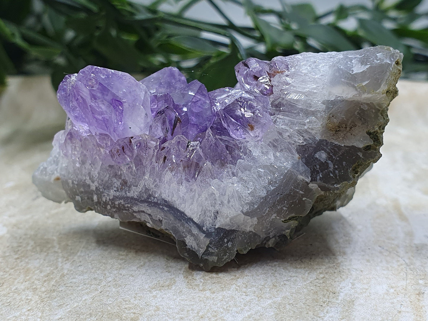 Amethyst Cluster #6