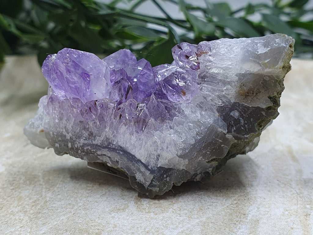 Amethyst Clusters