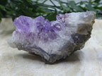 Amethyst Clusters