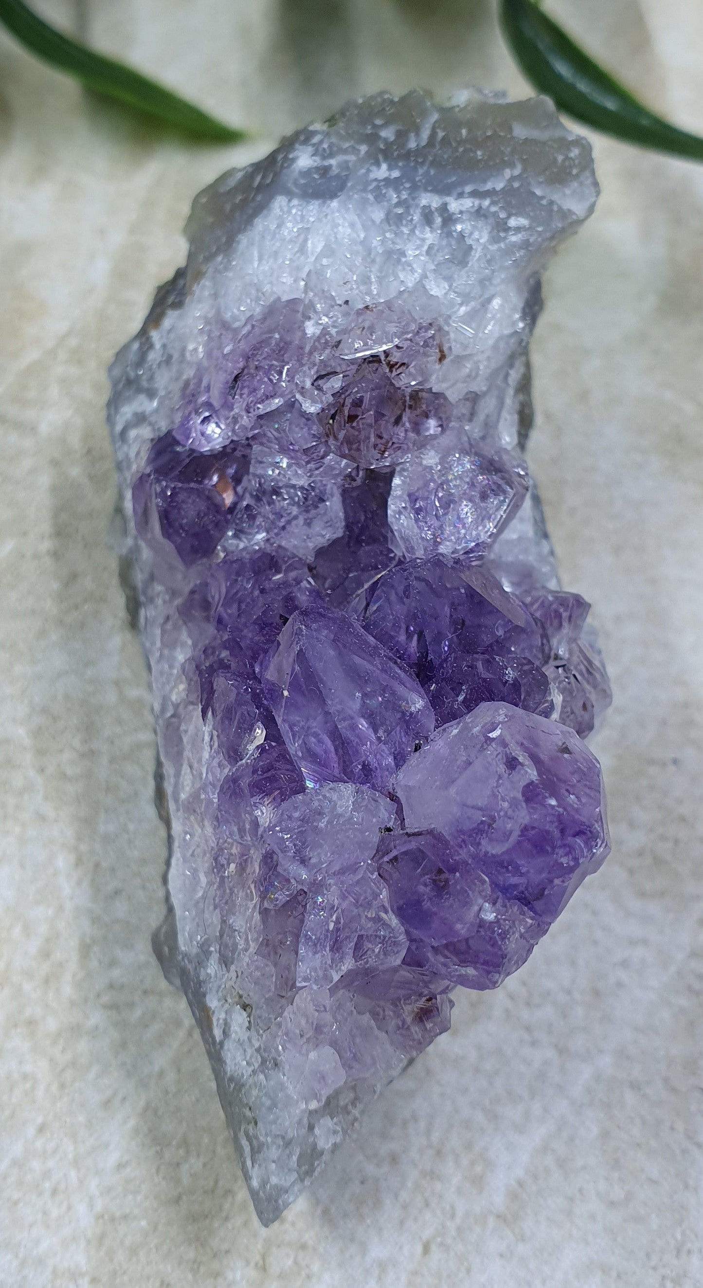 Amethyst Cluster #6