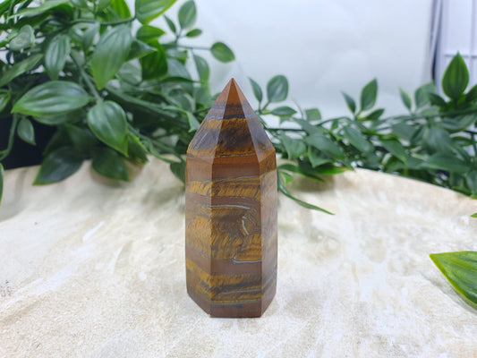 Tigers Eye Points #3