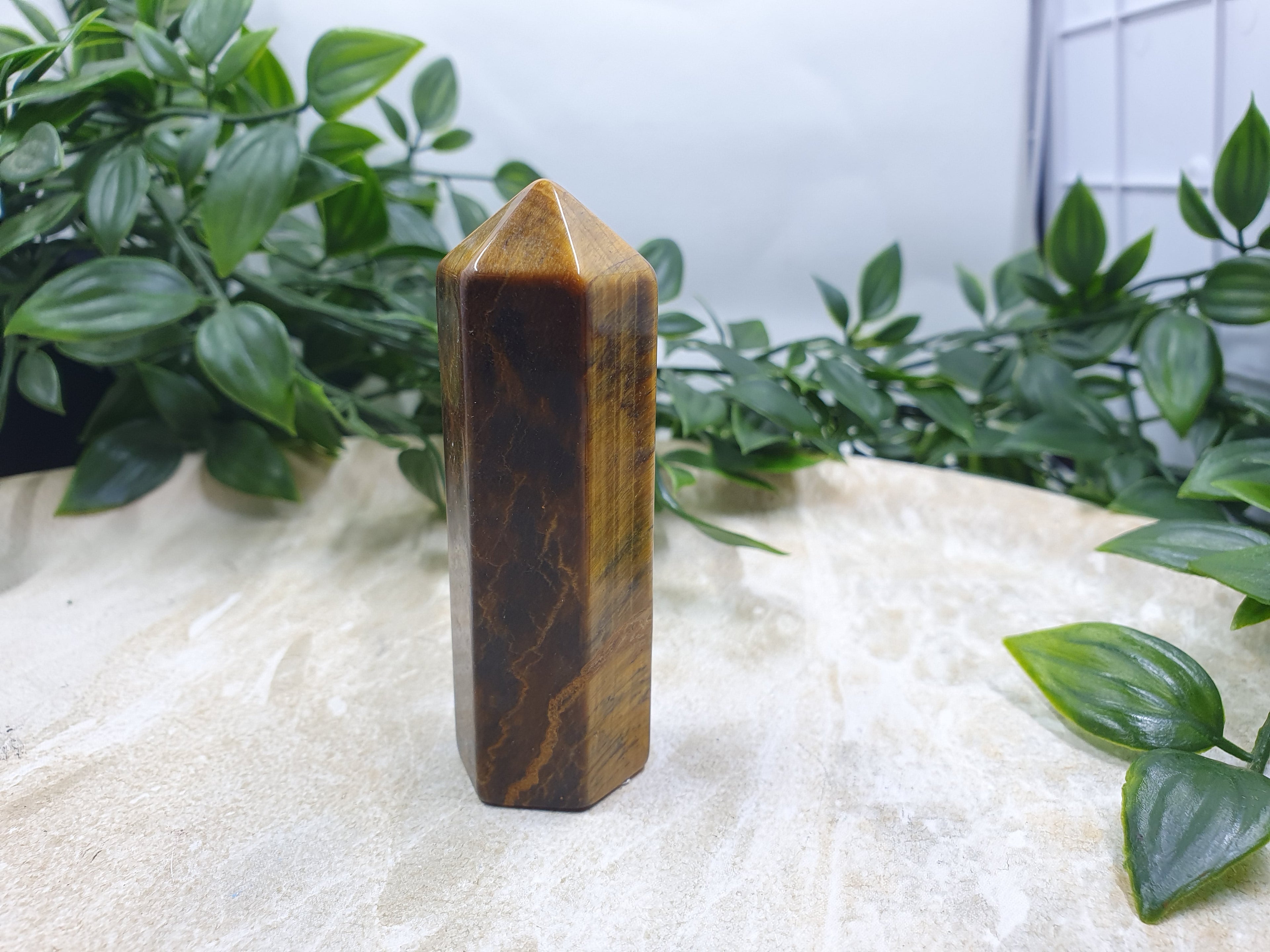 Tigers Eye Points #4