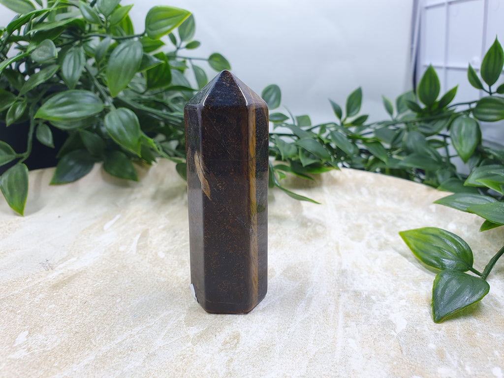 Tigers Eye Points #5