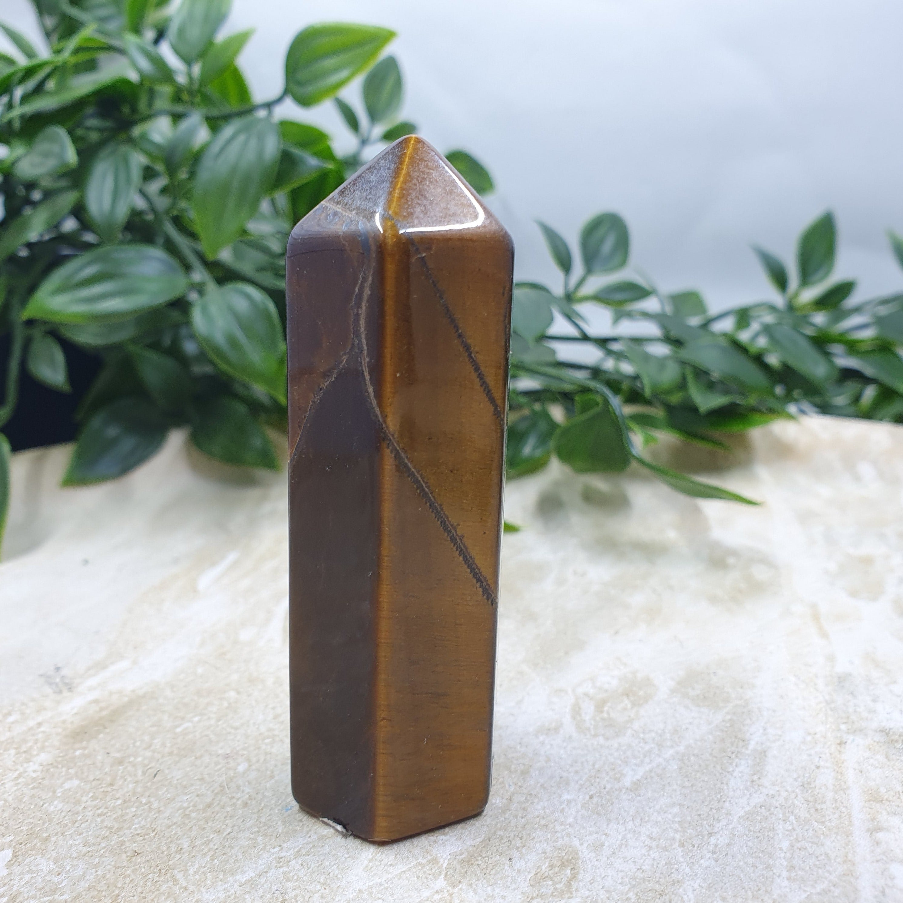 Tigers Eye Points #7