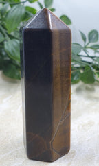 Tigers Eye Points #9