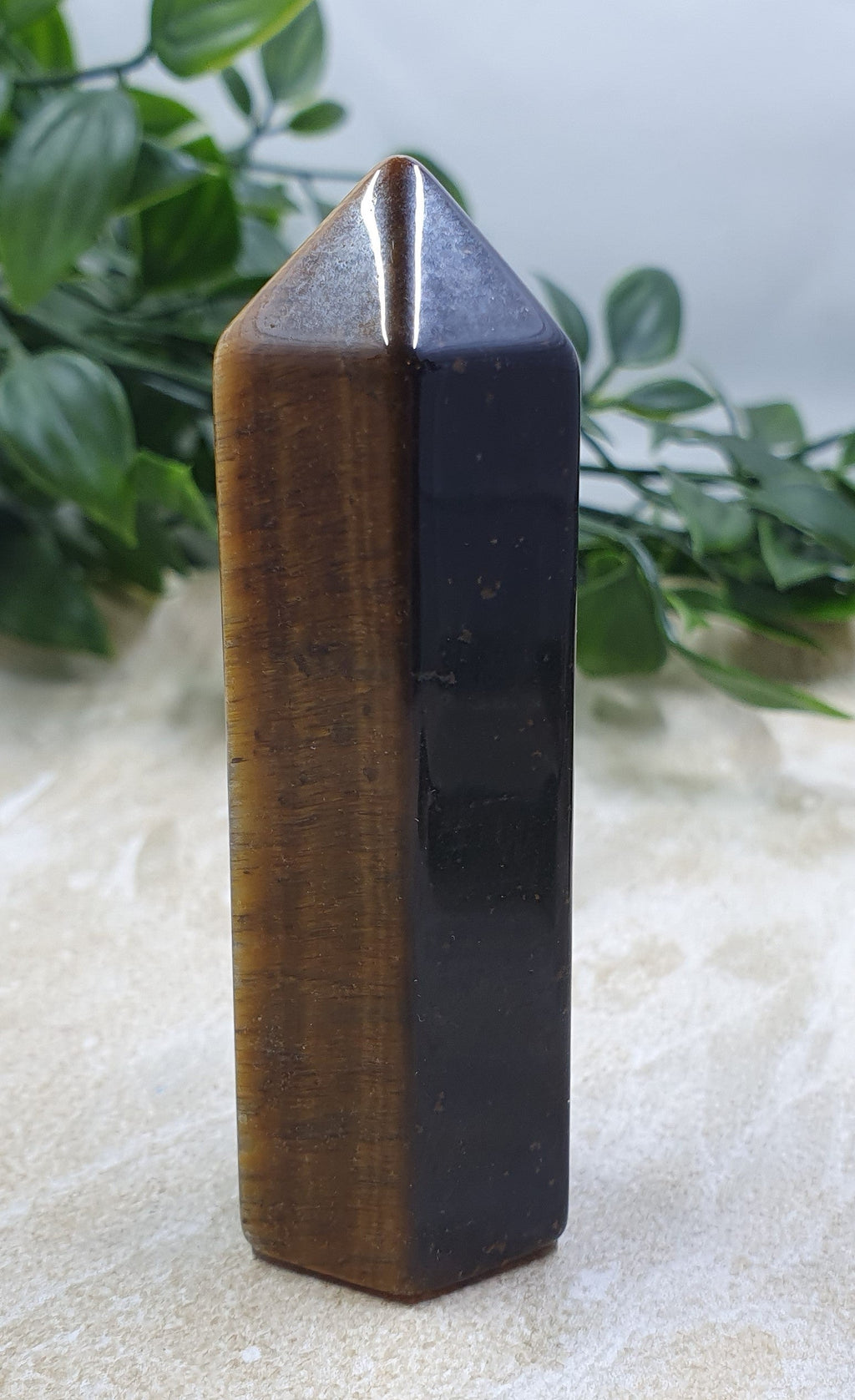 Tigers Eye Points #12