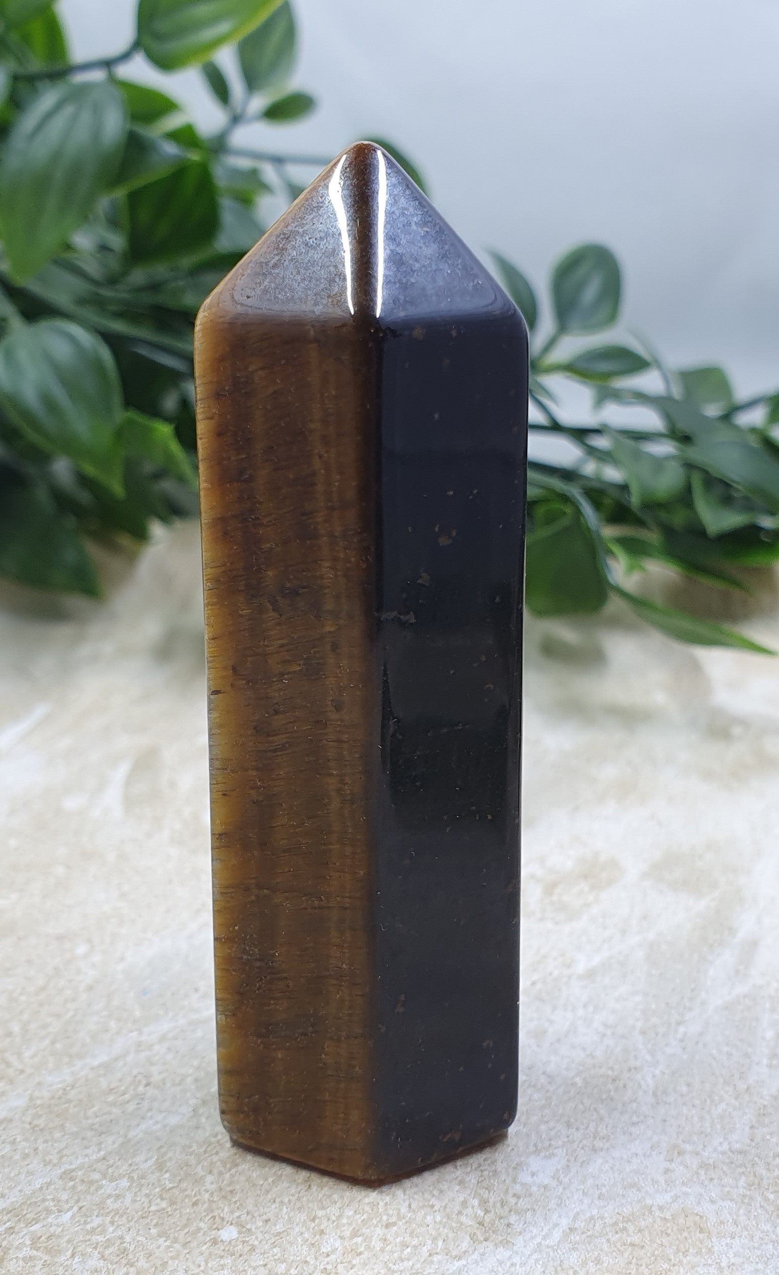 Tigers Eye Points #12