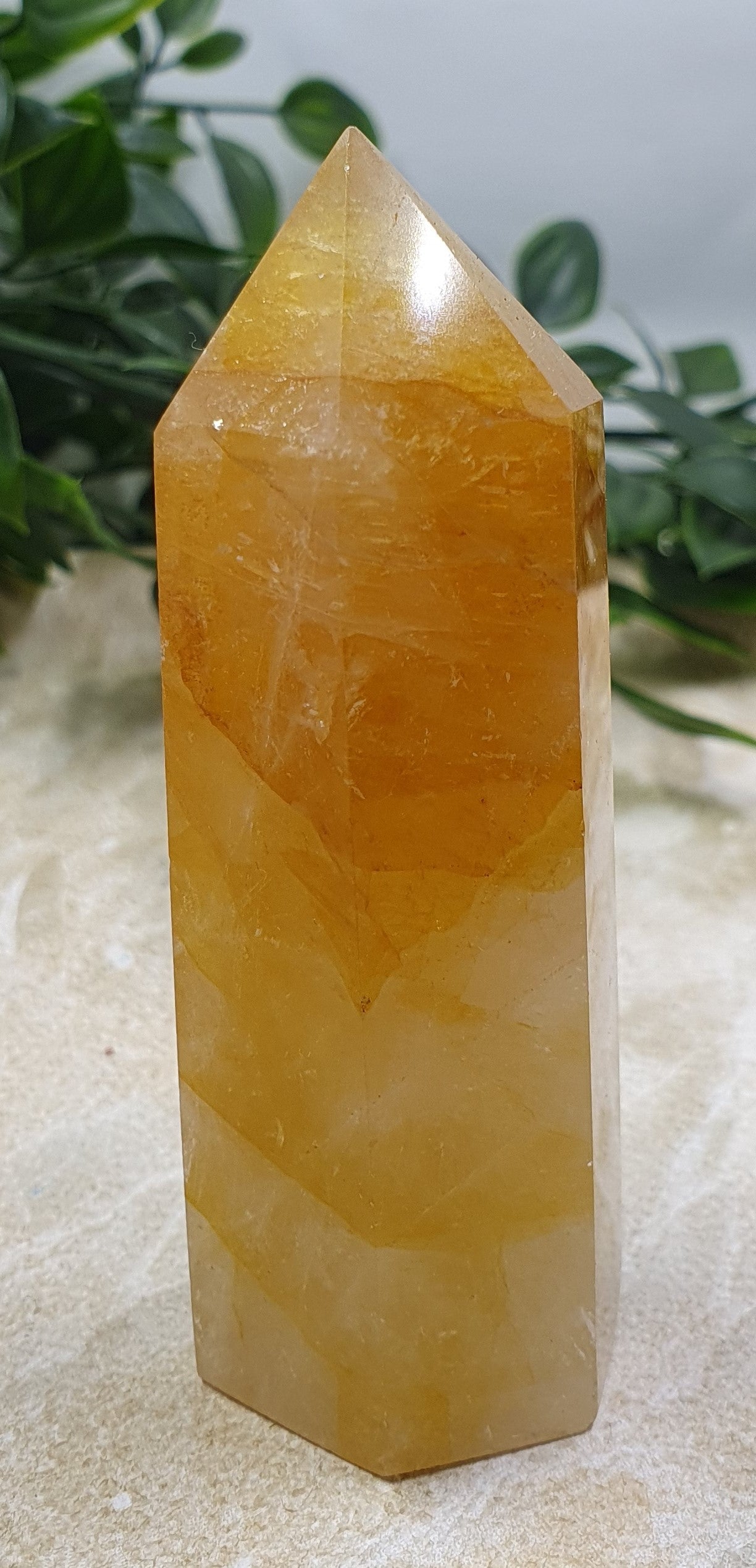 Golden Healer Points #5