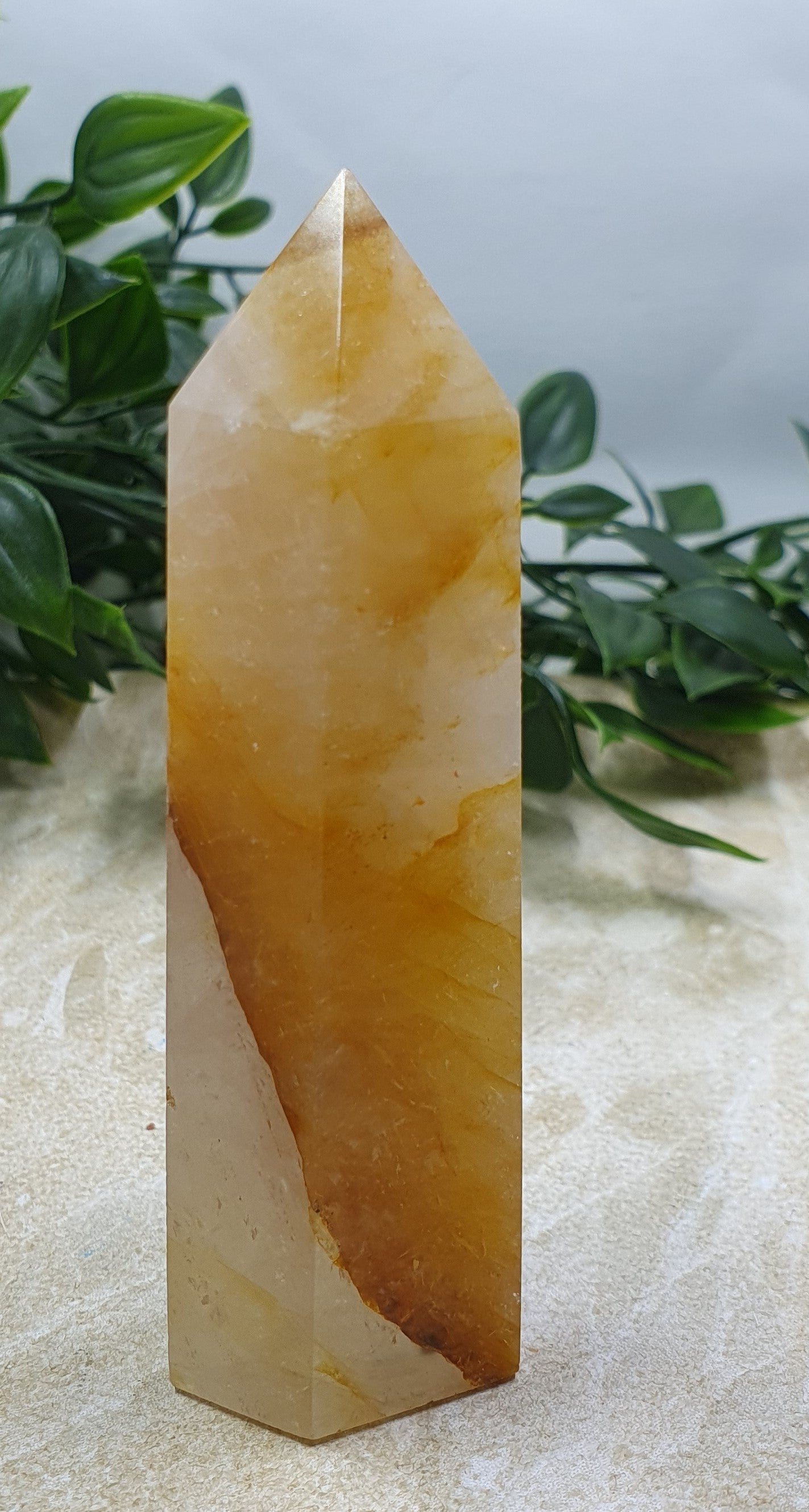 Golden Healer Points #6