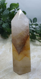 Golden Healer Points #7