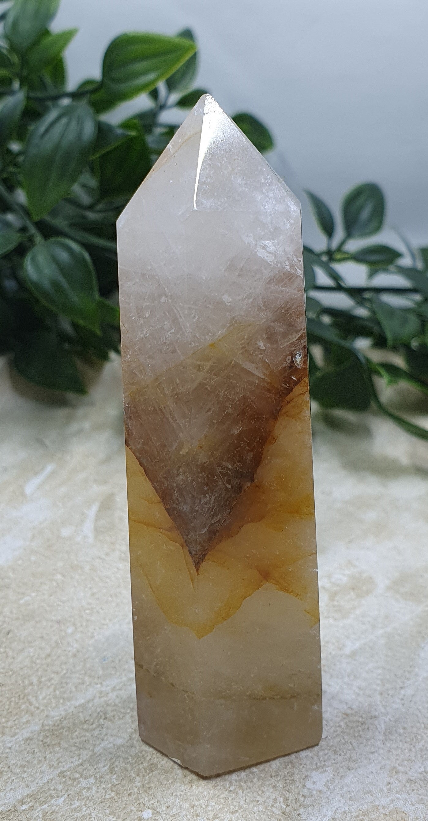 Golden Healer Points #7