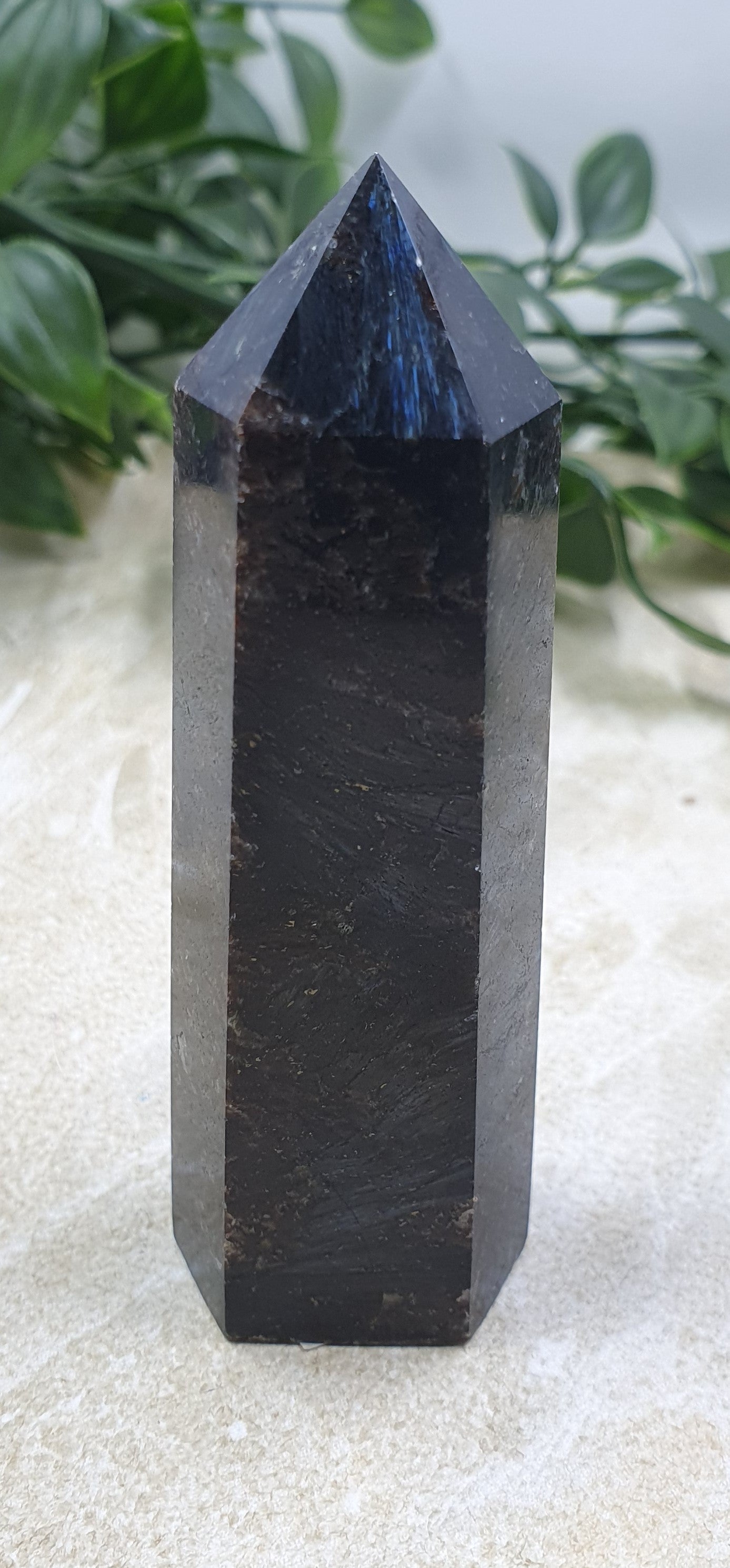 Fireworks Jasper Point #1